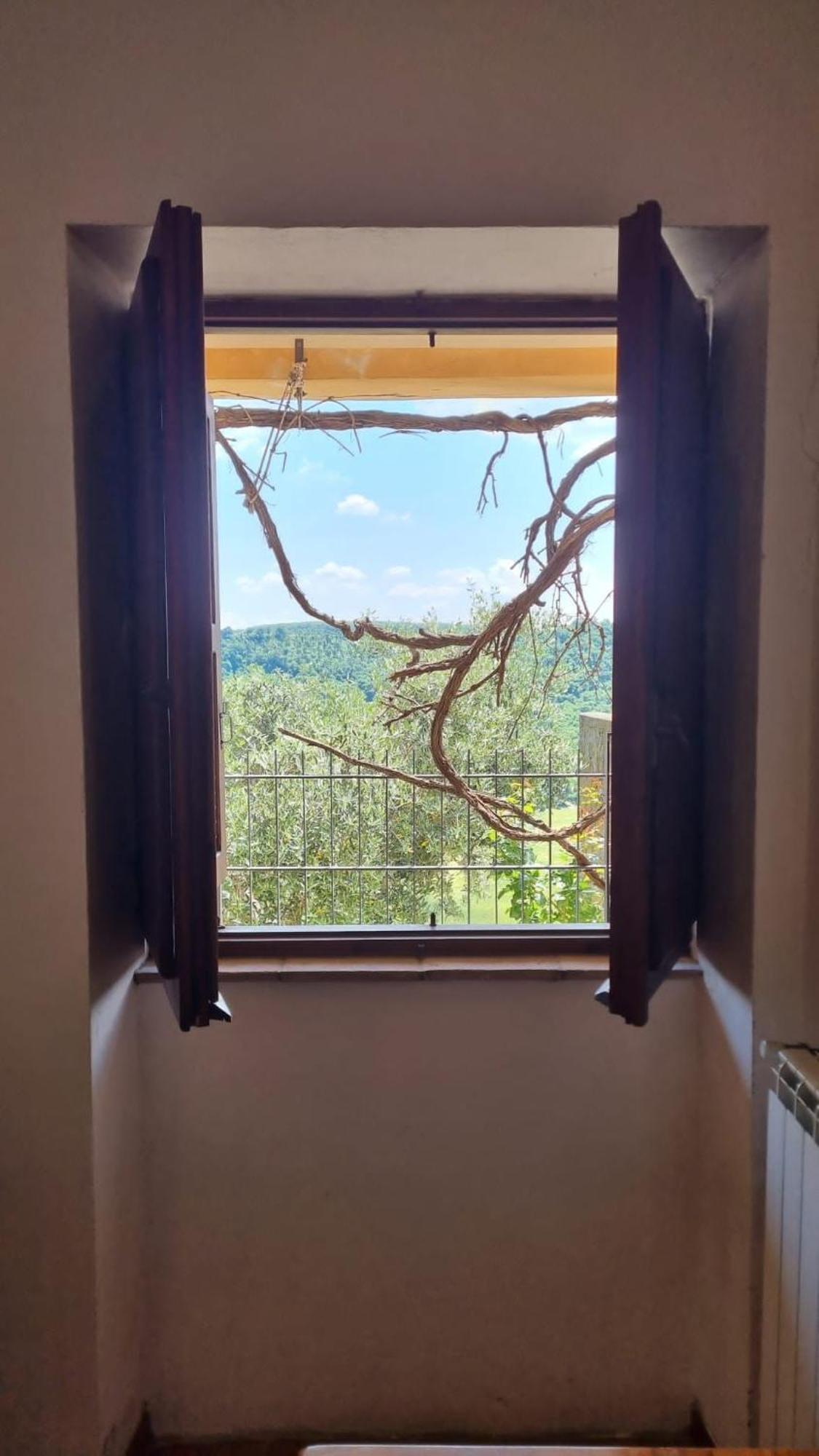 La Porticella - With Inner Etruscan Museum バニョレージョ エクステリア 写真